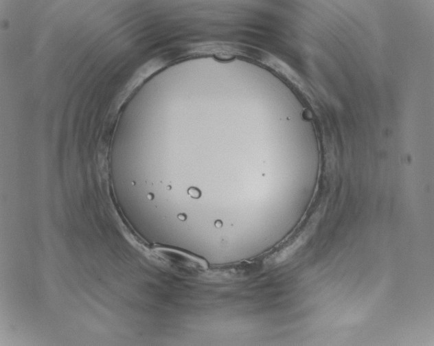 X0000074311049200609152002