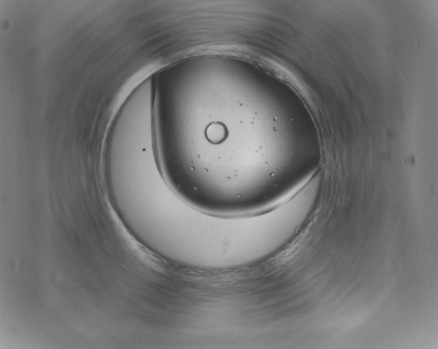 X0000074311050200609152002