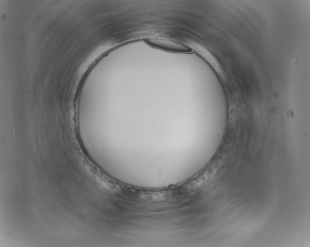 X0000074311051200609152002