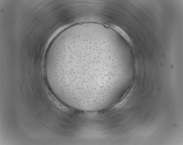 X0000074311052200609152002