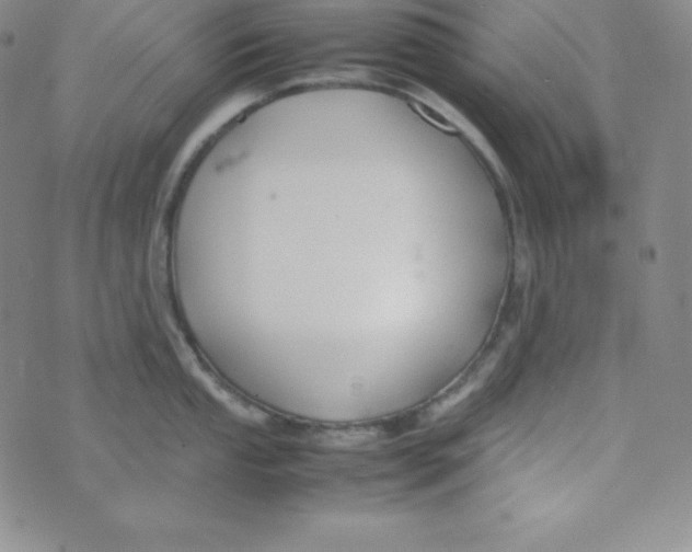 X0000074311053200609152002