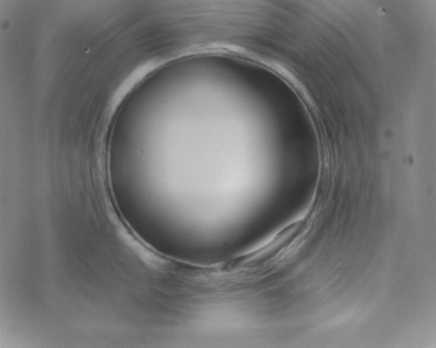 X0000074311054200609152002