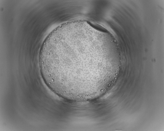 X0000074311055200609152002