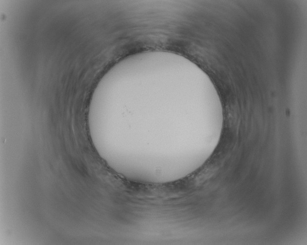 X0000074311057200609152001