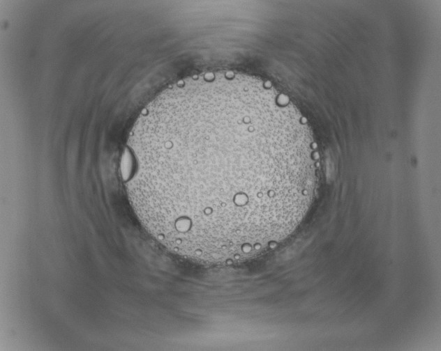 X0000074311059200609152001