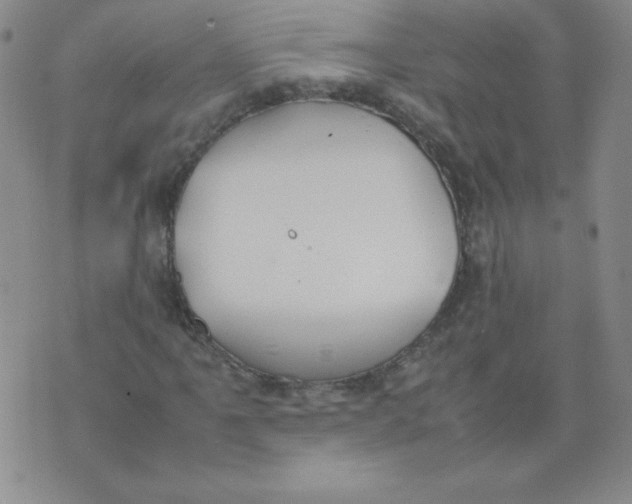 X0000074311061200609152001