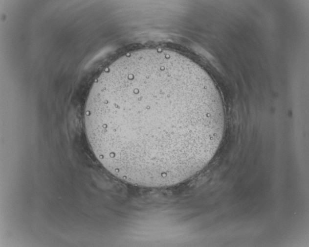 X0000074311063200609152001