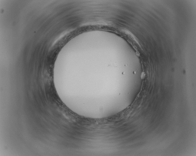 X0000074311064200609152001