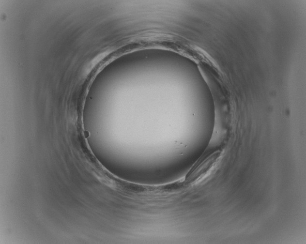 X0000074311065200609152001