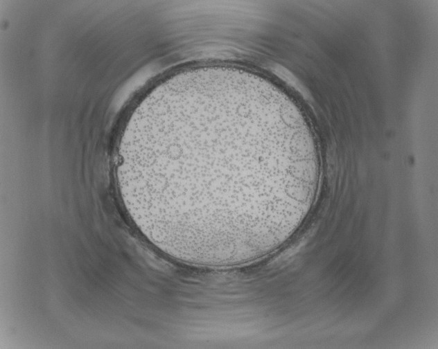 X0000074311067200609152001