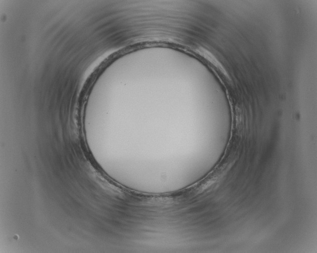 X0000074311068200609152001