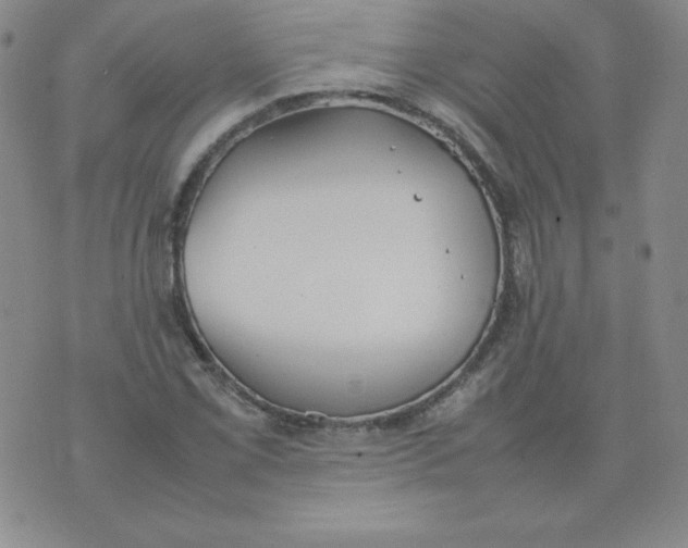 X0000074311069200609152001