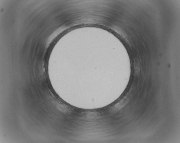 X0000074311070200609152001