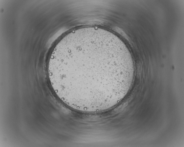 X0000074311071200609152001