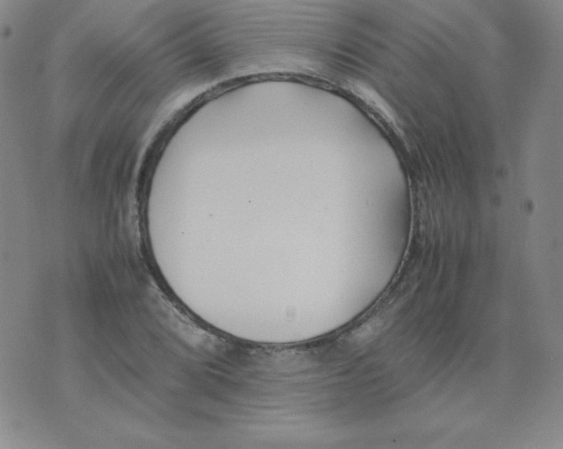 X0000074311072200609152001