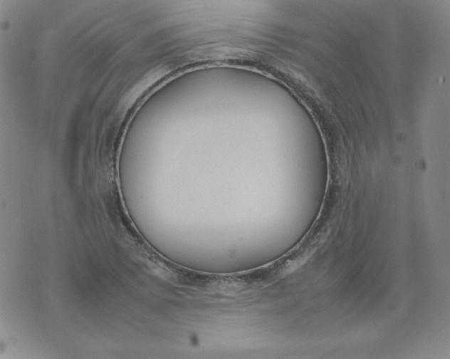 X0000074311073200609152001