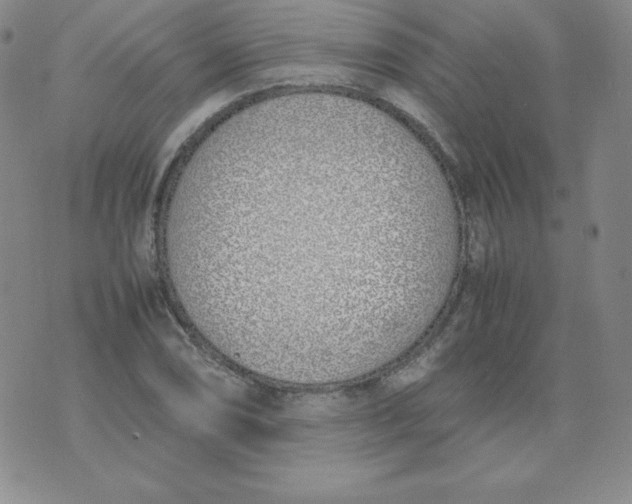 X0000074311074200609152001