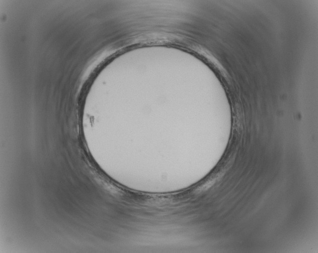 X0000074311075200609152001