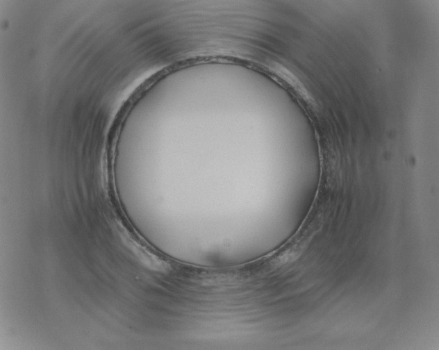 X0000074311076200609152001