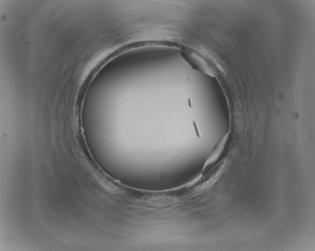 X0000074311077200609152001