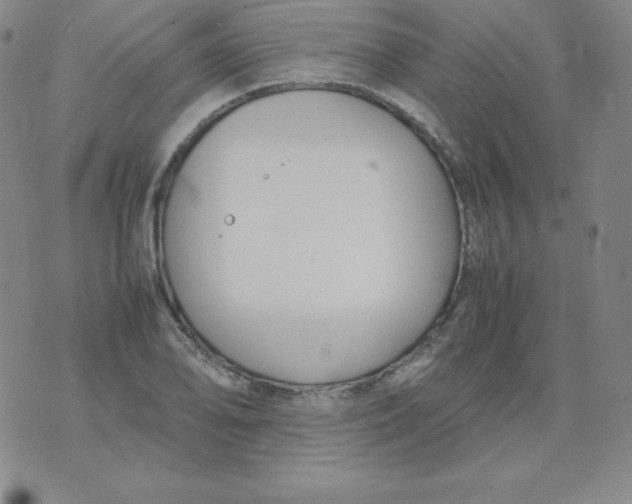 X0000074311078200609152001