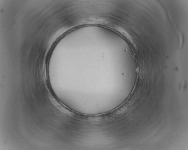 X0000074311080200609152001