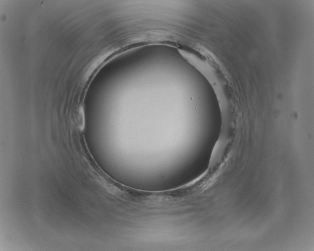 X0000074311081200609152001