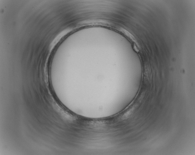 X0000074311082200609152001