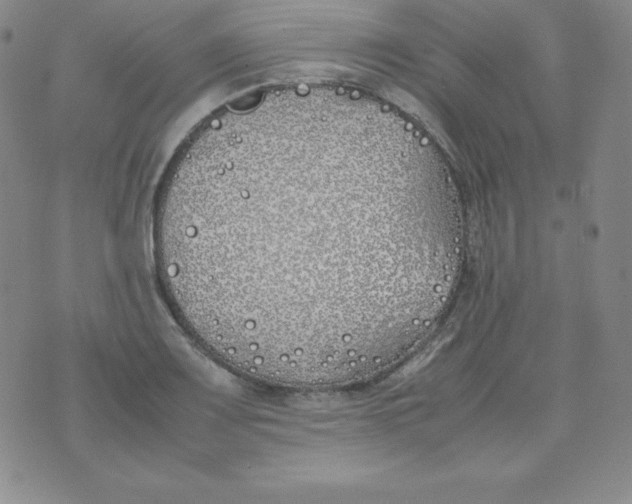 X0000074311083200609152001