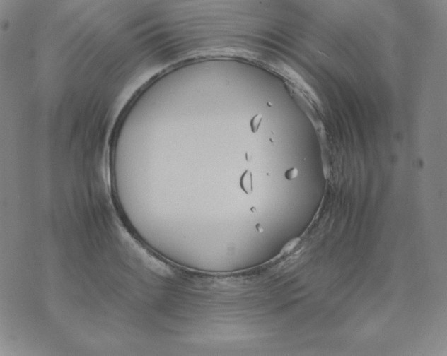 X0000074311084200609152001