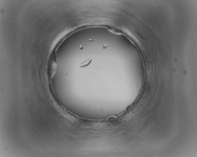 X0000074311085200609152001