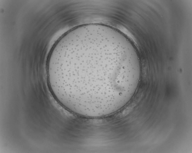 X0000074311088200609152001