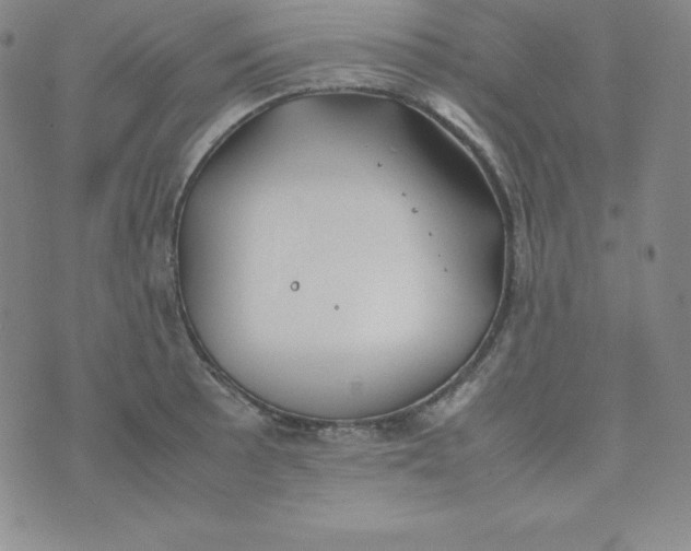 X0000074311089200609152001