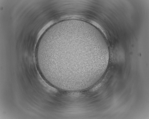 X0000074311090200609152001