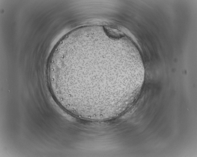 X0000074311091200609152000