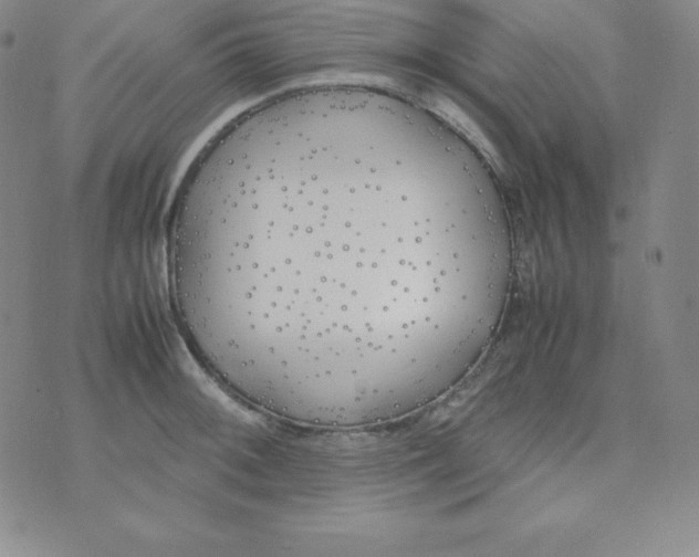 X0000074311092200609152000