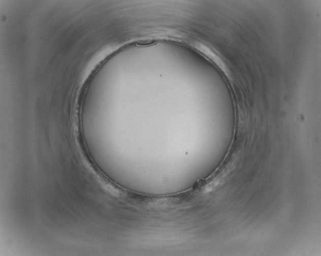 X0000074311093200609152000