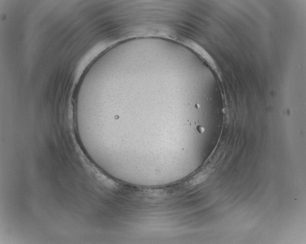 X0000074311096200609152000