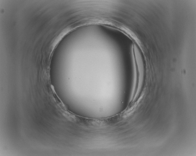 X0000074311097200609152000