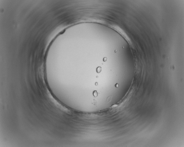 X0000074311100200609152000