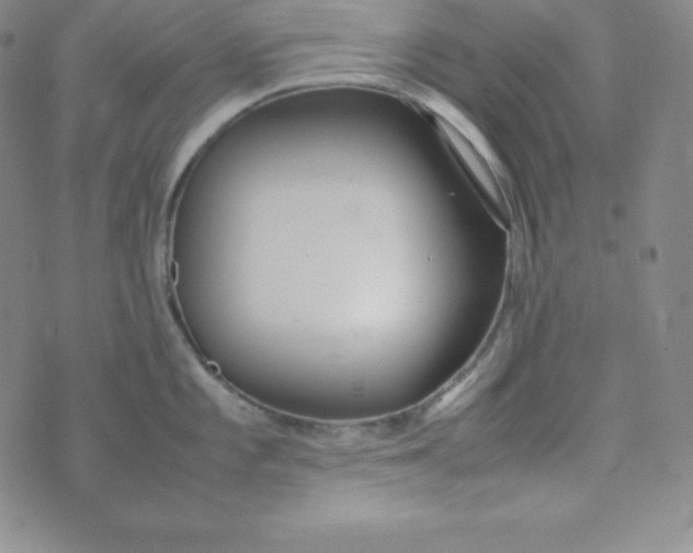 X0000074311101200609152000