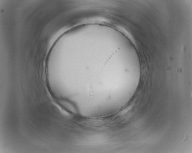 X0000074311103200609152000