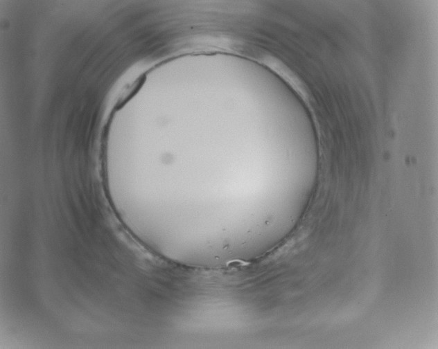 X0000074311104200609152000