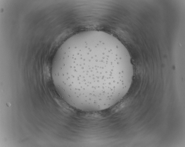 X0000074311106200609152000