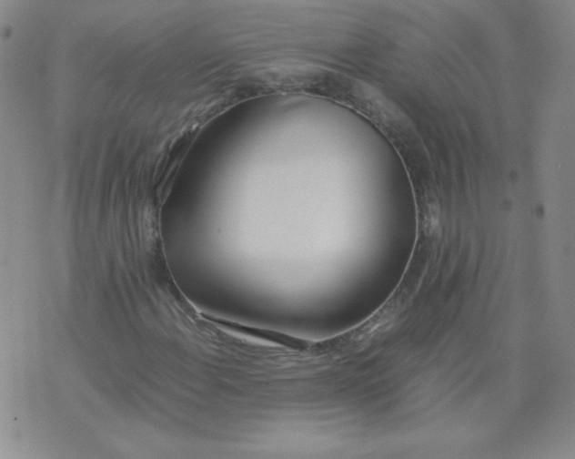 X0000074311108200609152000