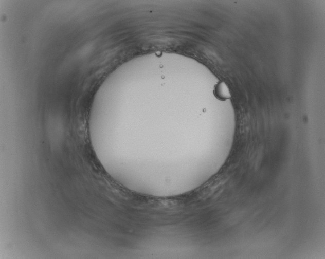 X0000074311109200609152000