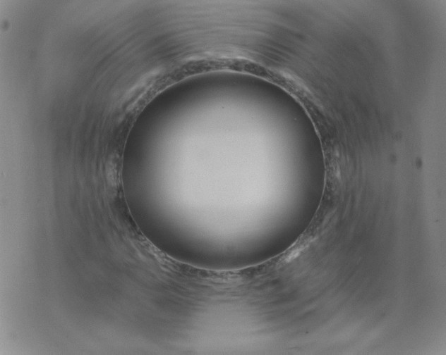 X0000074311110200609152000