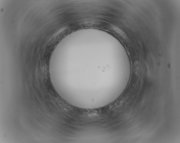 X0000074311111200609152000