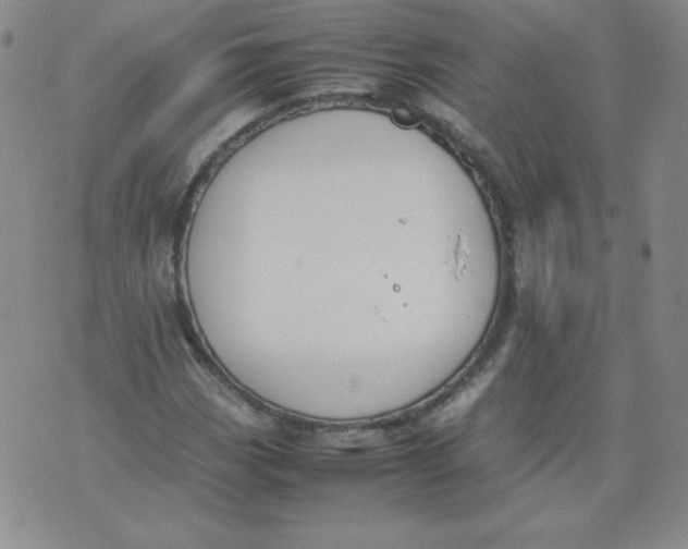 X0000074311113200609152000