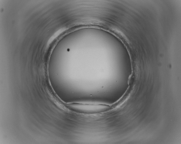 X0000074311114200609152000